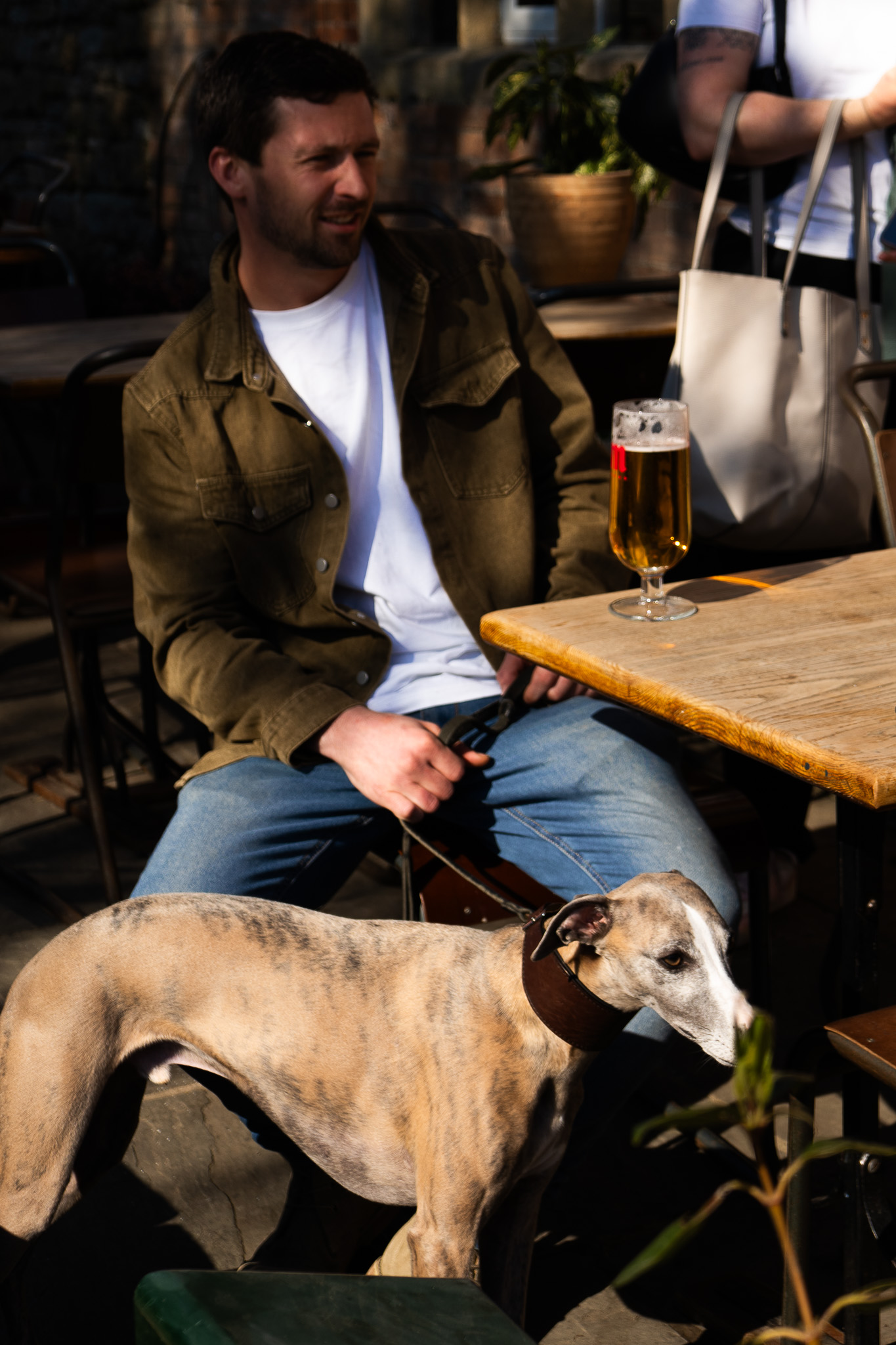 Dog-friendly stays at The Manor House Inn in Ditcheat, Somerset